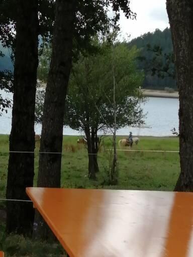 Mare O Montagna Appartement Cosenza Buitenkant foto